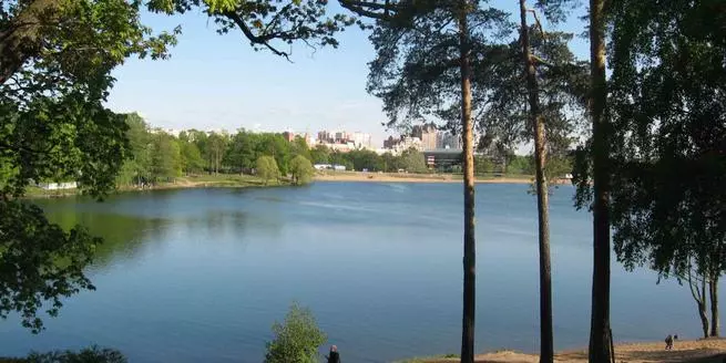 В городе разработан комплексный план мероприятий по оздоровлению гидросистемы Суздальских озер
