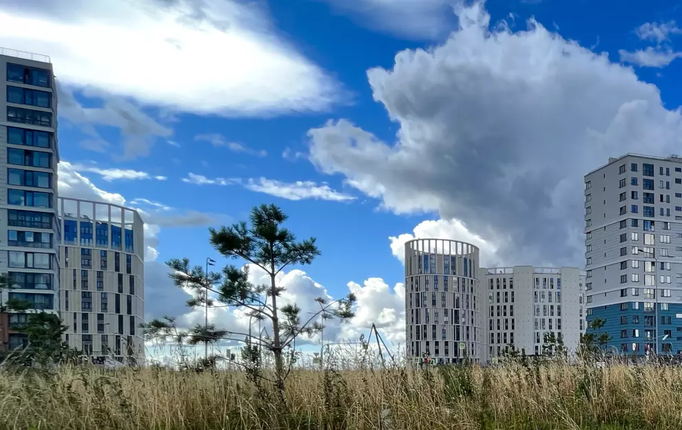 В рамках проекта «Комфортная городская среда Санкт-Петербурга» запланировано благоустройство территории