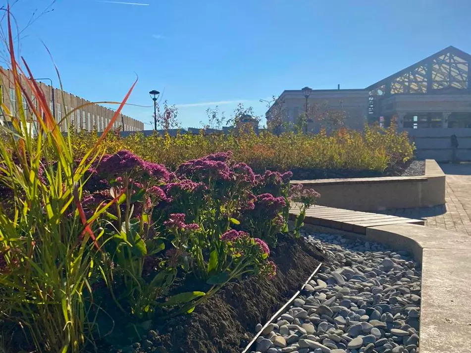 Завершено комплексное благоустройство территории у Балтийского вокзала