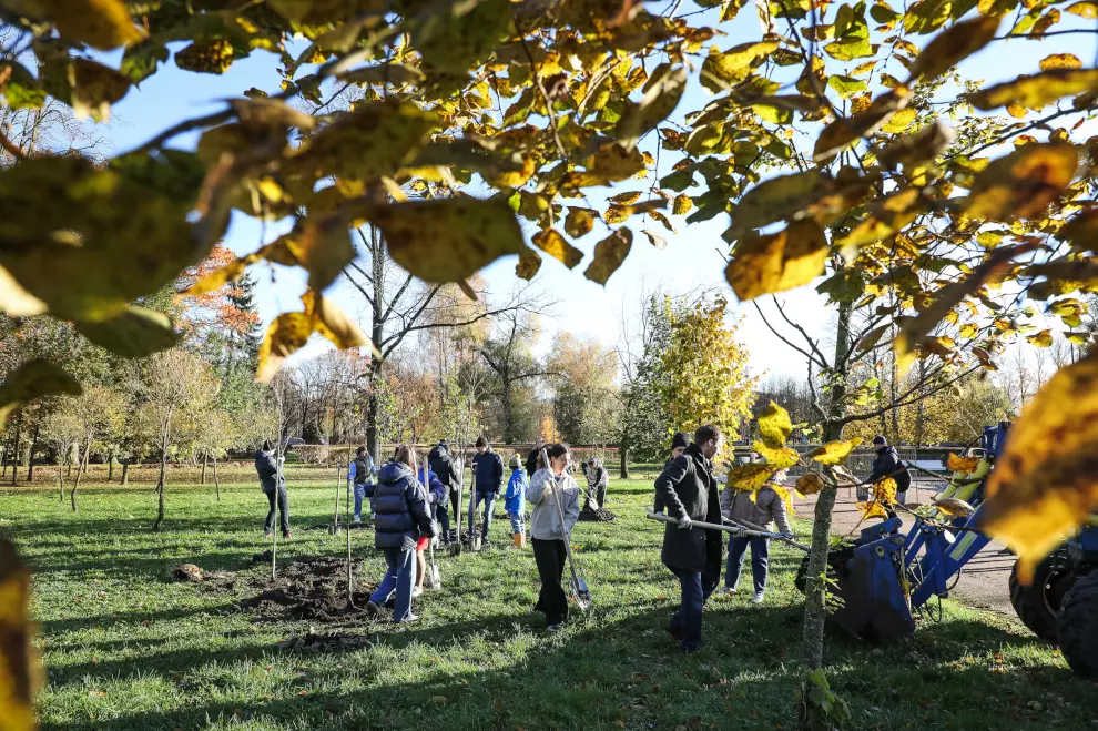25 октября в городе пройдёт традиционный День благоустройства