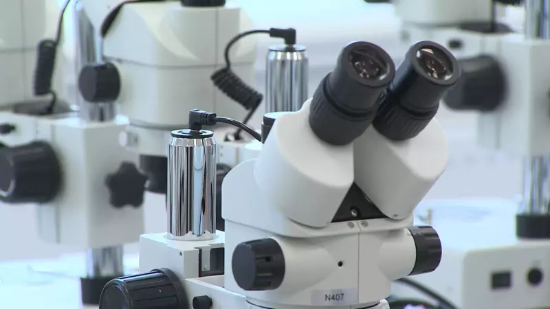 Петербургские ученые занимаются созданием технологии для диагностики последствий ковида