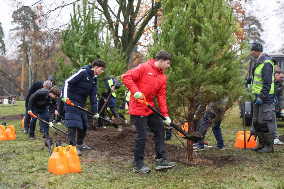 Традиционный месячник объединил петербуржцев проявляющих делами свою заботу о городе