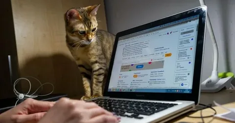 ТЭК совместно с АО Теплосеть разработали чат-бот