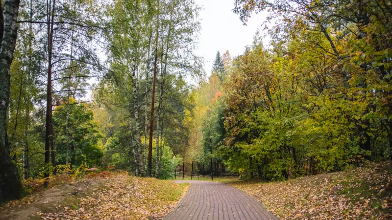 Безымянным территориям зелёных насаждений присвоены наименования выдающихся петербуржцев