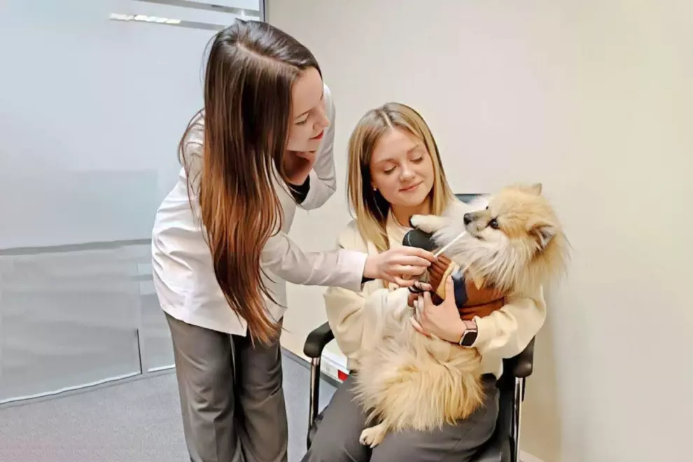 На ветеринарных станциях внедряется система экспресс-диагностики состояния здоровья питомцев