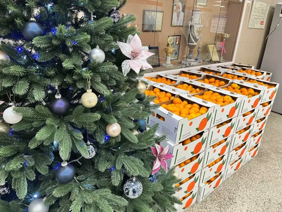 В преддверии новогодних праздников социальные учреждения и стационары получат 10 тонн мандаринов