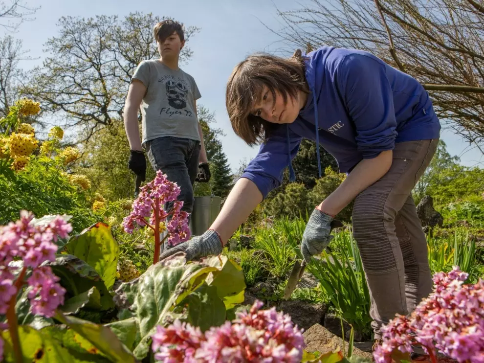 Город расширяет перечень организаций и направлений деятельности для подростков