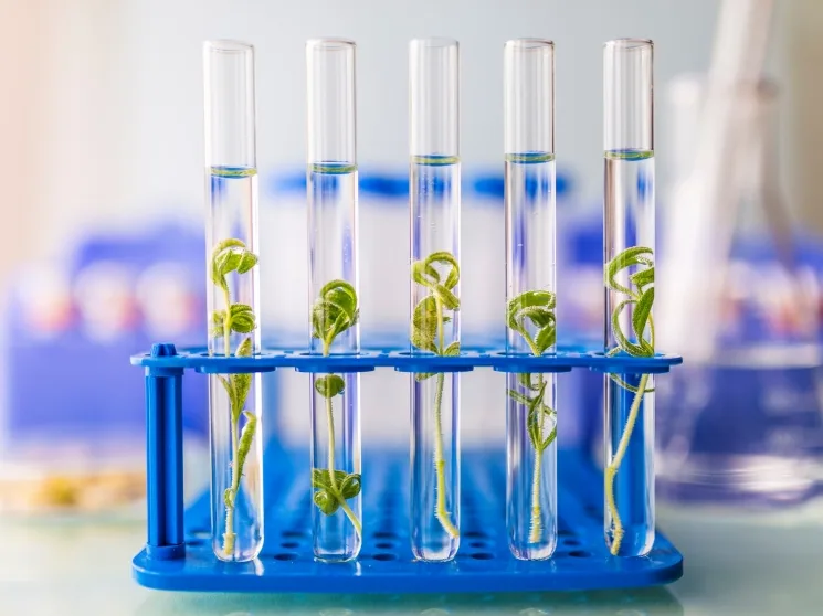 День российской науки