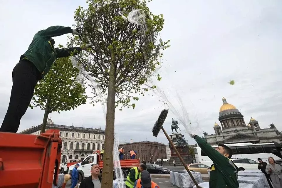 Комитет по контролю за имуществом отмечает 10-летие