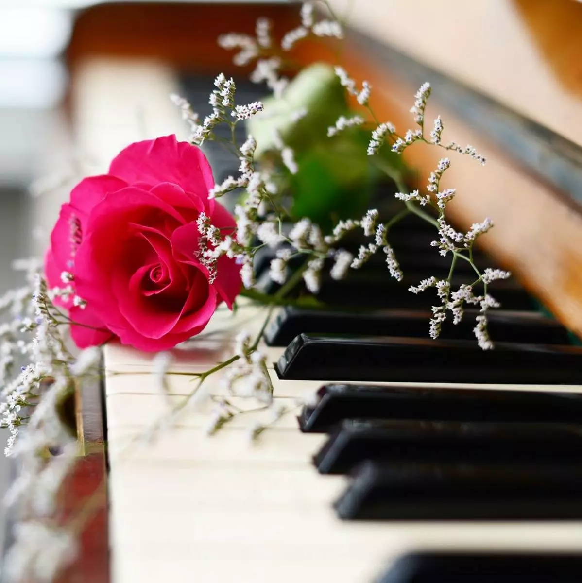 День работника культуры