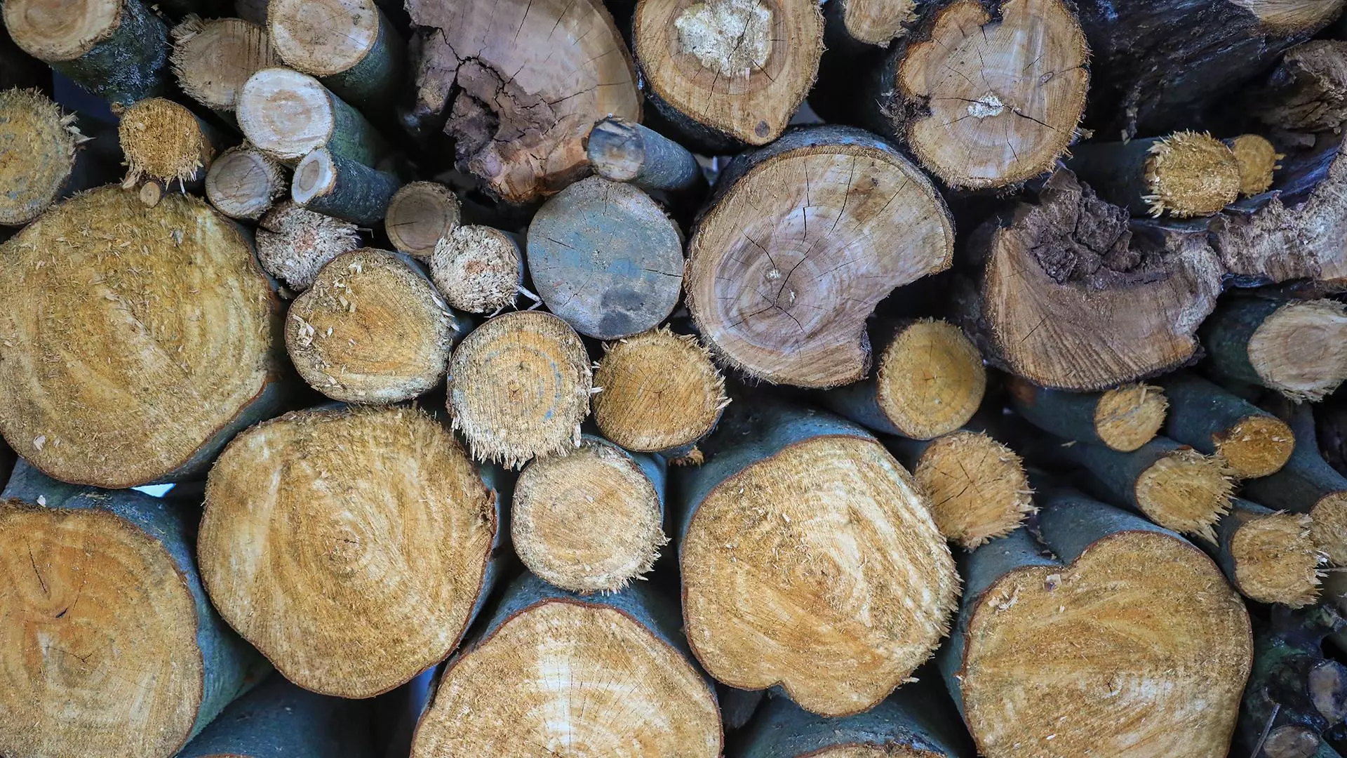 Поставщикам твёрдого топлива выделят субсидии города