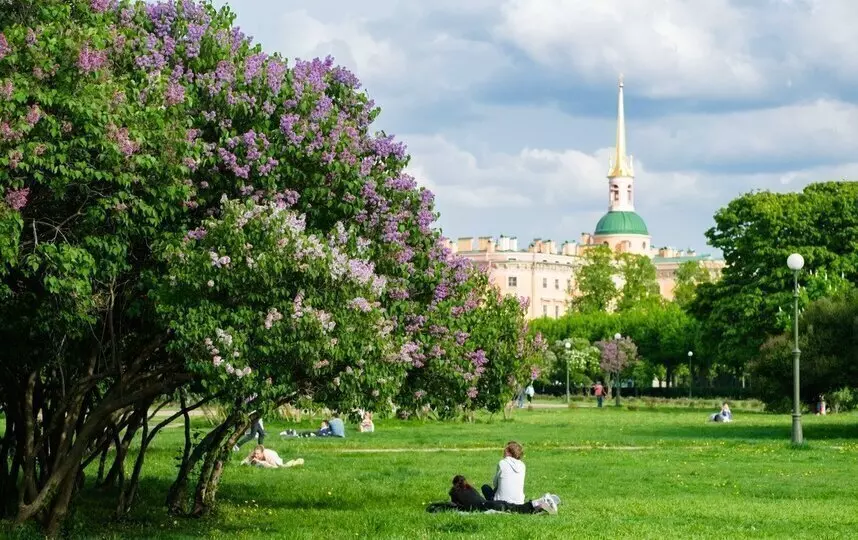 Новые зелёные пространства появятся во всех 18 районах