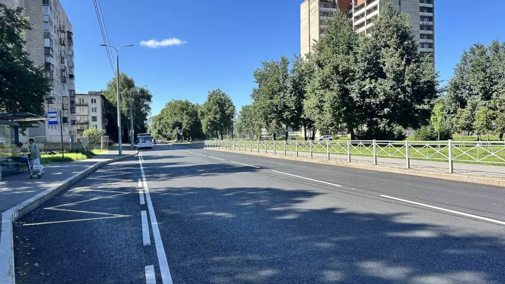 Меншиковский проспект – социально значимая транспортная артерия района